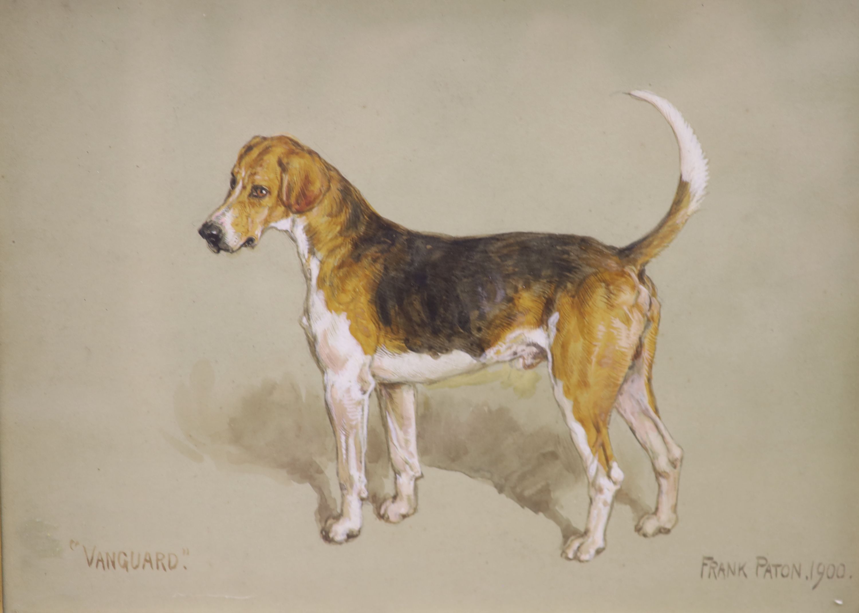 Frank Paton (1856-1909), pair of watercolours, Portraits of fox hounds; Smuggler and Vanguard, signed and dated 1900, 23 x 32cm